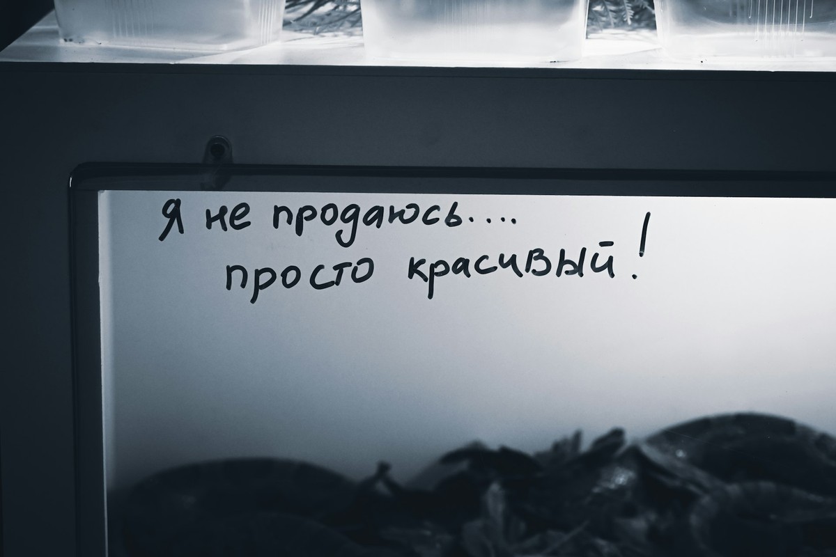 Сергій Коваль